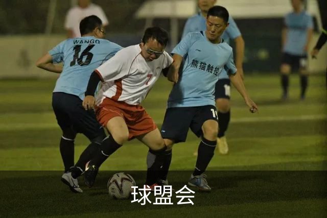 球盟会公司介绍图